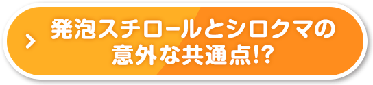 発泡スチロールとシロクマの意外な共通点!?